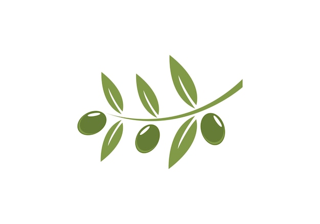 Olijf logo vector