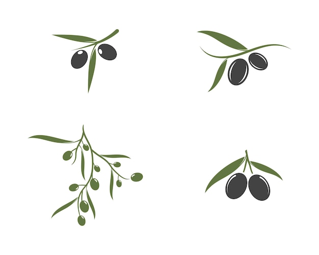 Olijf pictogram vectorillustratie