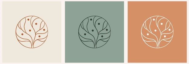 Olijfboom logo extra vergine olijfolie label icoon levensboom symbool biologische tak merkidentiteit plant blad teken vector illustratie