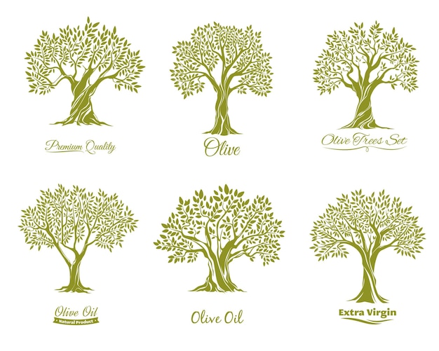 Olijfolie olijven en olijfbomen iconen
