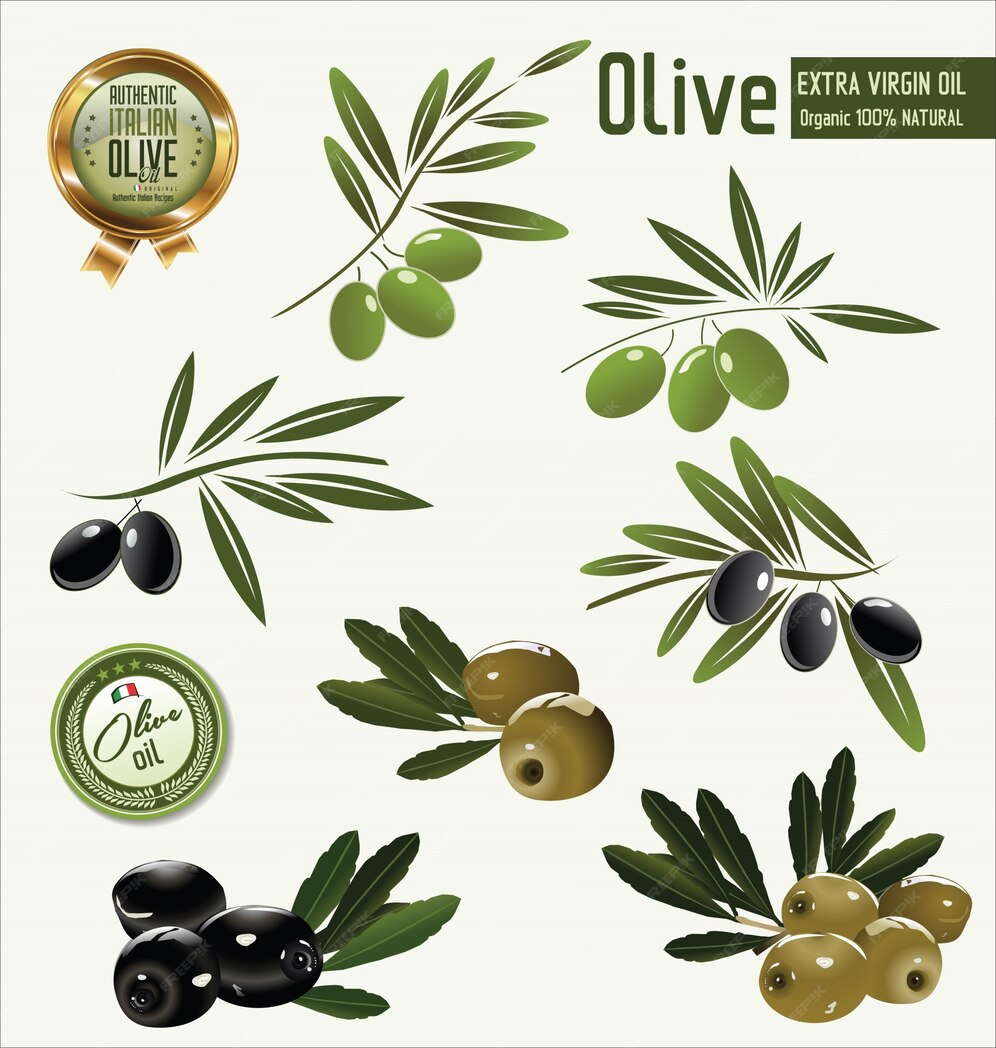 Premium Vector | Olive background