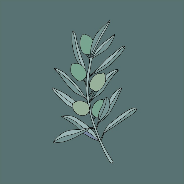 Olive branch, hand-drawn engraving vector illustration isolated.