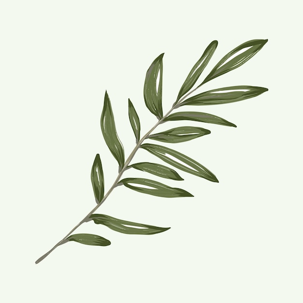 Olive branch hand drawn isolated on background