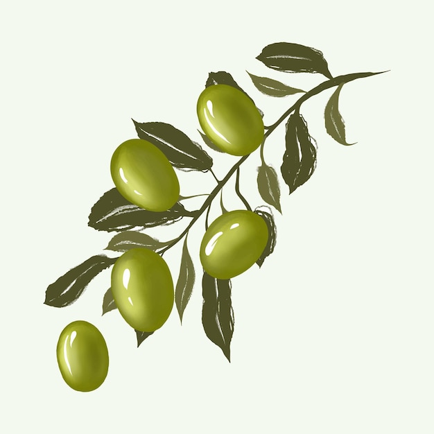 Olive branch hand drawn isolated on background