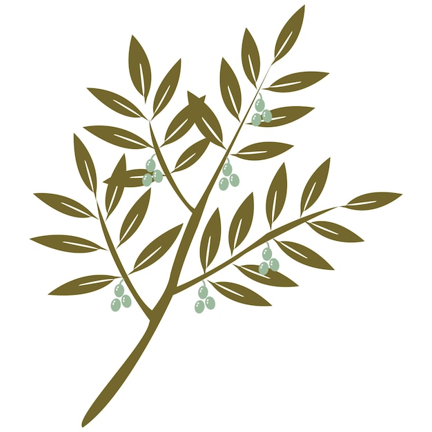 Olive branch olive symbol