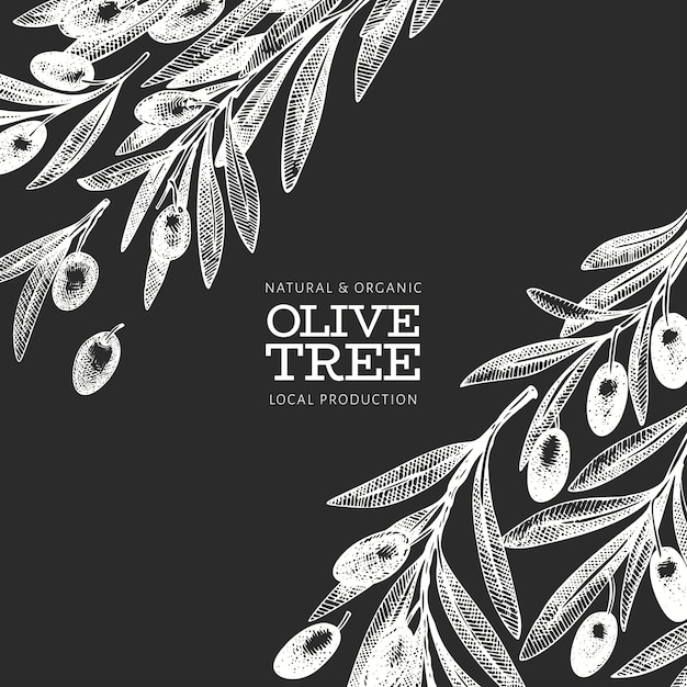 Olive branch template. hand drawn vector food illustration on chalk board. engraved style mediterranean plant. retro botanical picture.