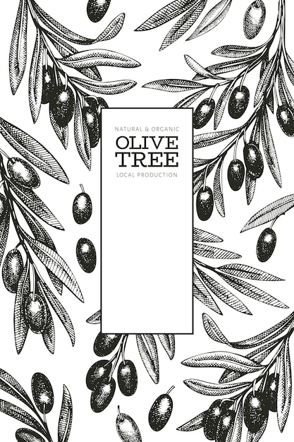 Vector olive branch template.