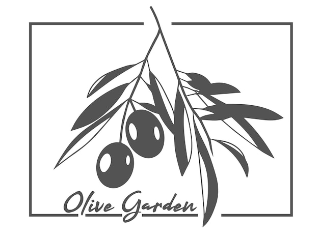 Olive branch vector illustration for logo.