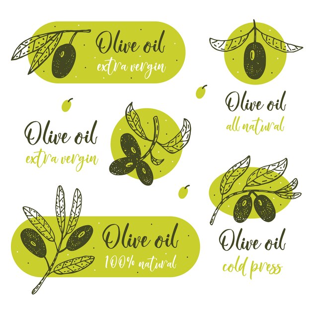 Olive branch with lettering  hand drawn illustration