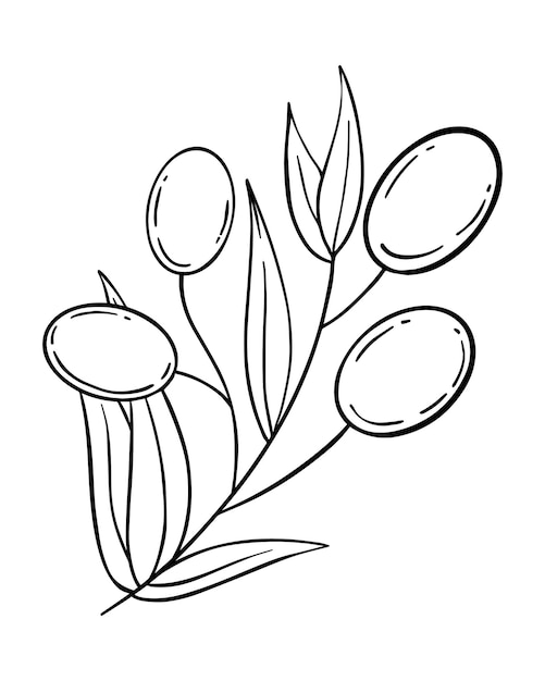 Olive branch with olives doodle linear