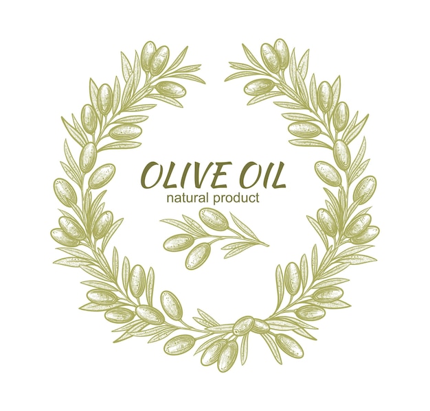 Olive branches frame Vector illustrations of branches with fruits and leaves for creating logos