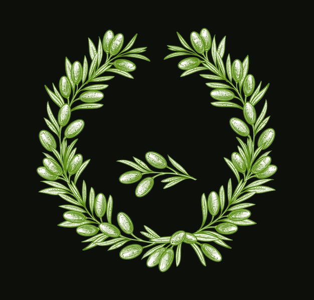 Вектор Рамка оливковых ветвей векторные иллюстрации ветвей с фруктами и листьями для создания