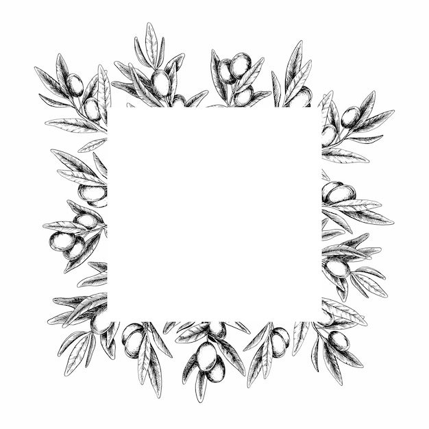 Olive branches leaves and fruits Frame of branches olive tree Vector illustration in sketch style