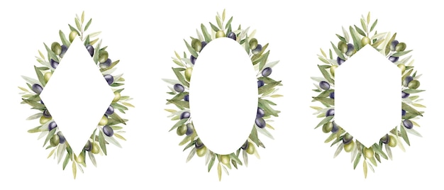 Olive branches leaves and fruits Set frames of branches olive tree Watercolor illustrations