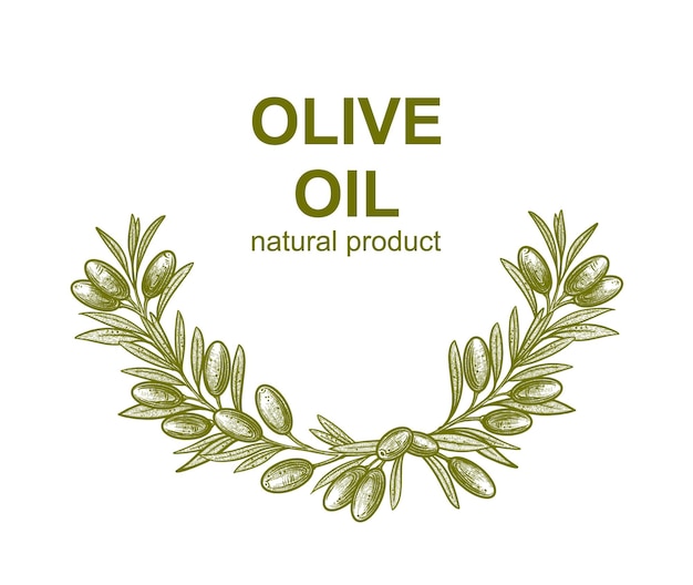 Olive branches Vector illustrations of branches with fruits and leaves for creating logos patterns