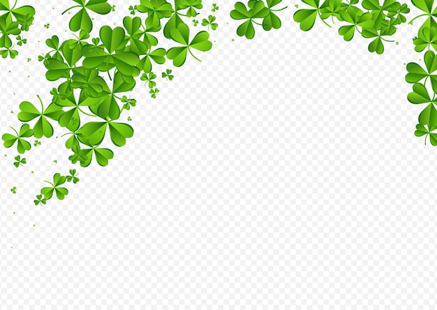 Vector olive color clover minimal vector transparent