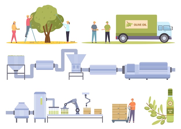 Olive harvesting and factory food oil production process. Flat agriculture vegetable oils manufacture, extraction and bottling vector set. Production industry oil olive illustration