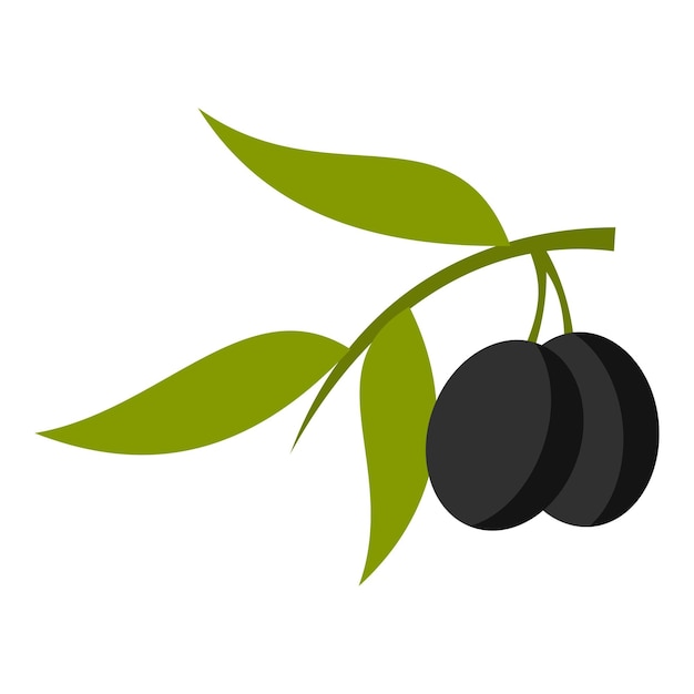 Olive icon Cartoon illustration of olive vector icon for web