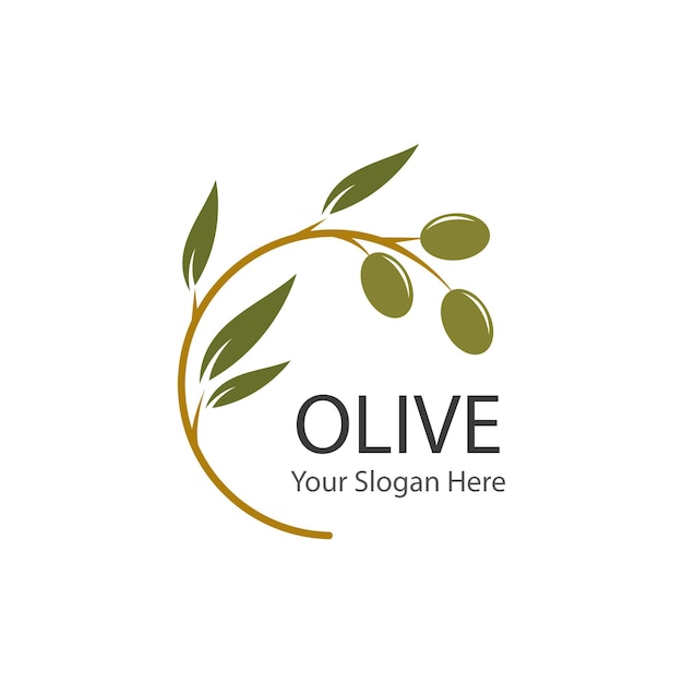 olive illustration logo template vector flat design