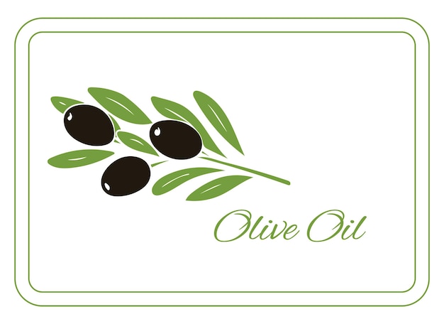 Olive label Design of advertising labels for products from olives Vector illustration