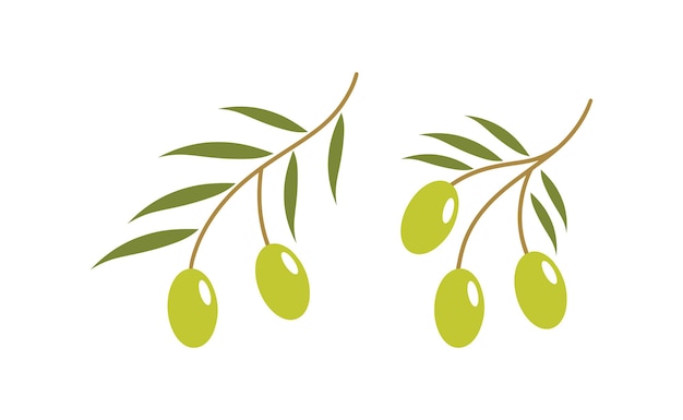 Olive logo design inspiration Nature design template