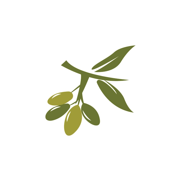 Logo design albero di olio d'oliva vettore modello di illustrazione semplice