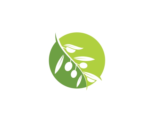 Illustrazione vettoriale dell'icona del logo oliva