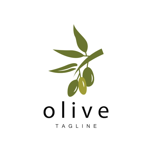 올리브 로고 올리브 오일 식물 벡터 천연 허브 건강 의학 디자인 일러스트 템플릿 아이콘