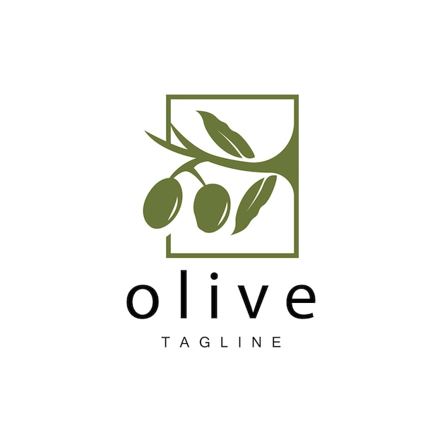 Olive Logo Olive Oil Plant Vector Natural Herbal Health Medicine Design Illustration Template Icon