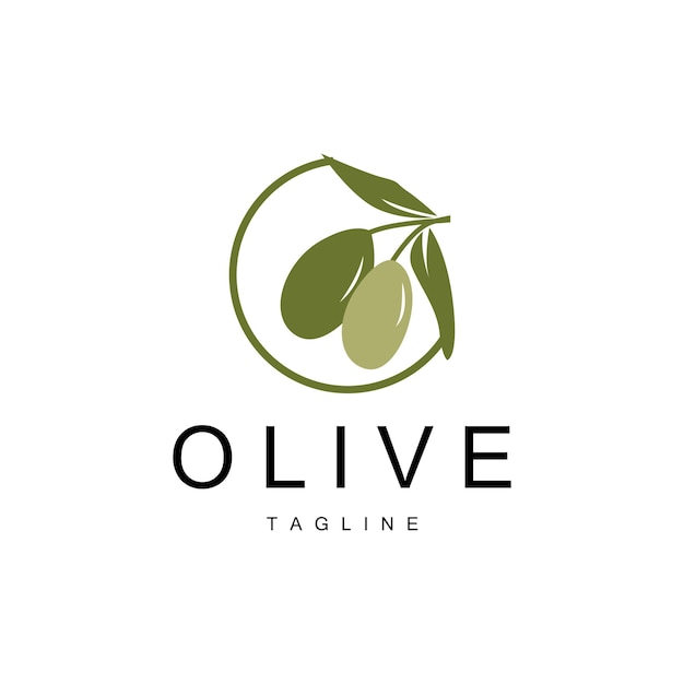 Olive Logo Olive Oil Plant Vector Natural Herbal Health Medicine Design Illustration Template Icon