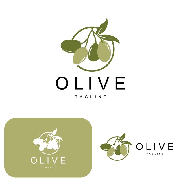 Olive Logo Olive Oil Plant Vector Natural Herbal Health Medicine Design Illustration Template Icon