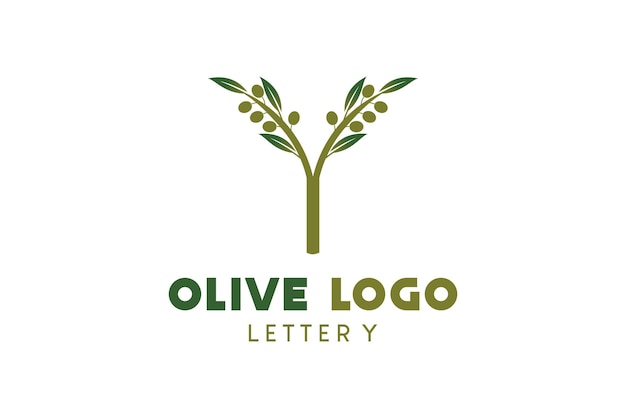 Olive logo ontwerp met letter y concept natuurlijke groene olijf vectorillustratie