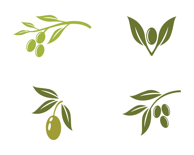 olive logo template vector icon