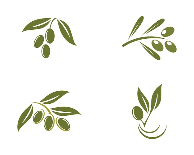 Vector olive logo template vector icon