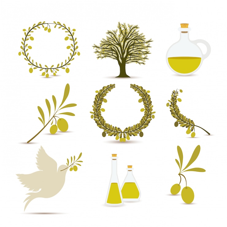 Vector 올리브 오일 디자인