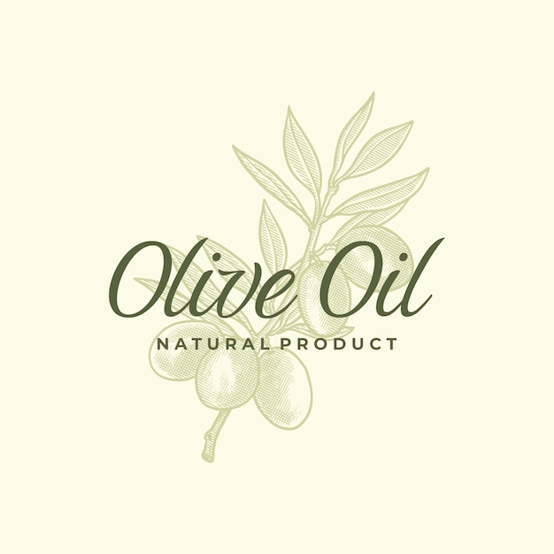 Olive oil hand drawn illustration vector