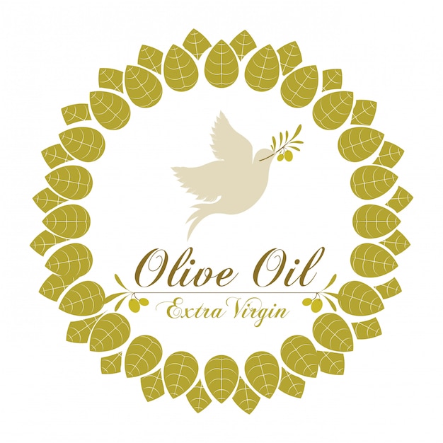 Vector olive oil illustration