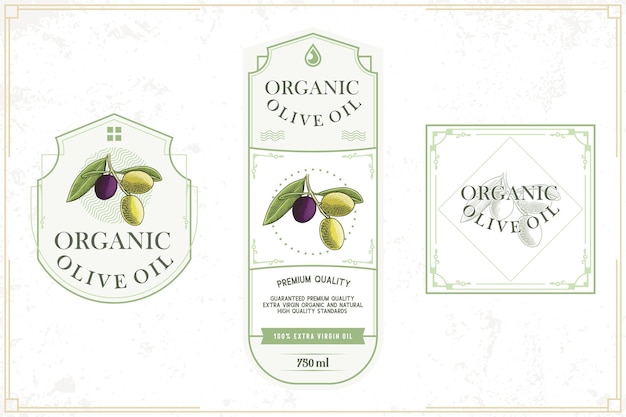 Vector olive oil label in natural green color