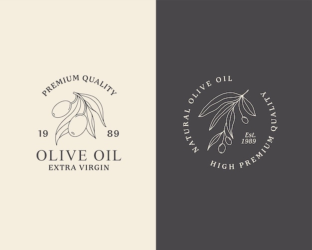 Linea di olio d'oliva logo contorno ramo botanico con foglie e con frutta in uno stile moderno e minimale