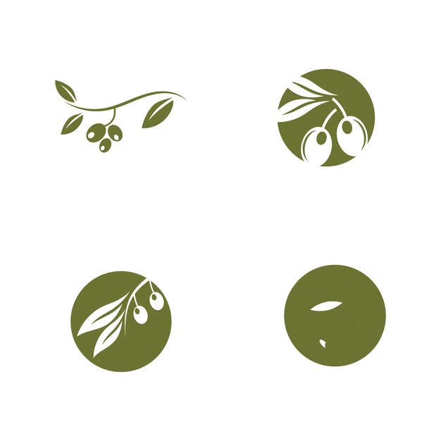 Olive oil logo leaf vector