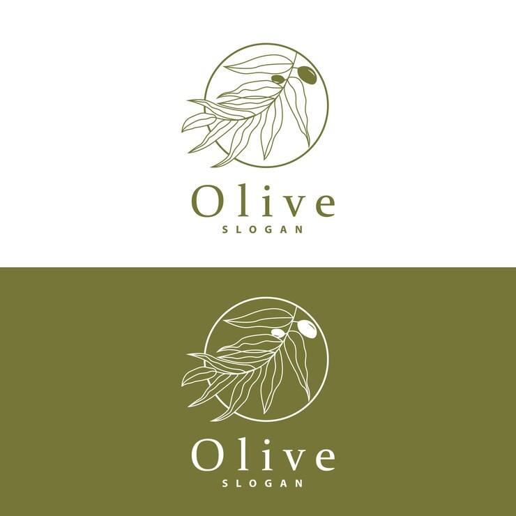 Vector olive oil logo olive leaf plant herbal garden vector simple elegant luxurious icon design template illustration