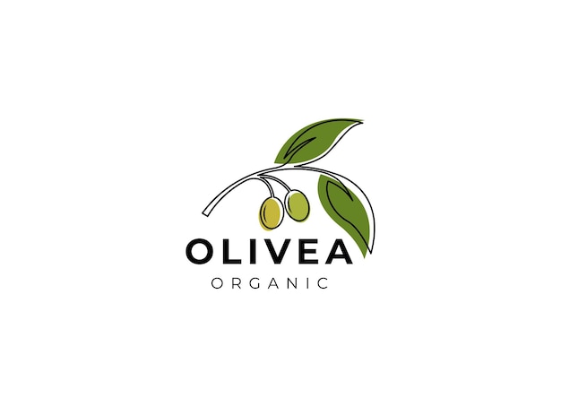 Vettore progettazione vettoriale del logo dell'olio d'oliva