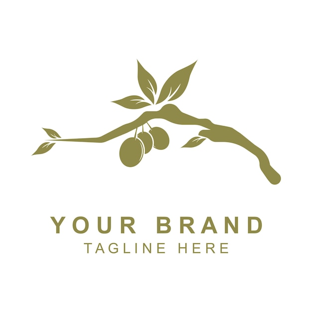 Vector olive oil logo with a combination of leaves and fruit