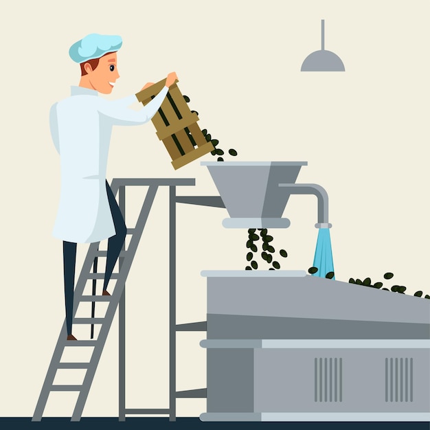 Olive oil production illustration factory worker in white coat washing cleaning olea europaea berries organic virgin oil manufacturing process modern industrial equipment