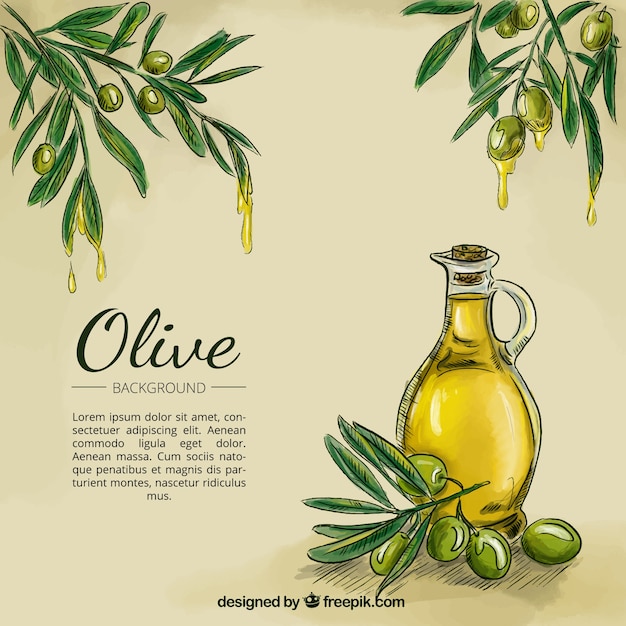 Vector olive oil sketch background