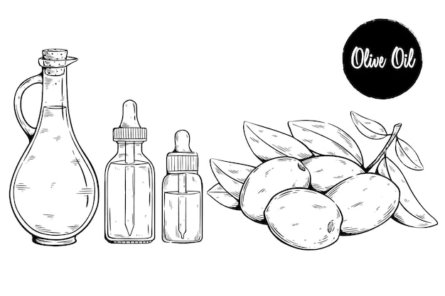 Вектор Оливковое масло с медицинской бутылкой-капелькой ручной рисунок оливковых листьев и фруктовой векторной иллюстрации