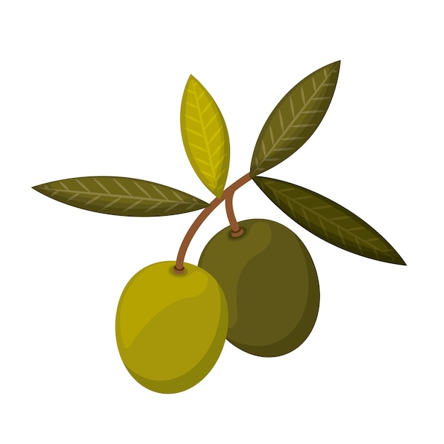 オリーブの種子のアイコンのデザインを隔離