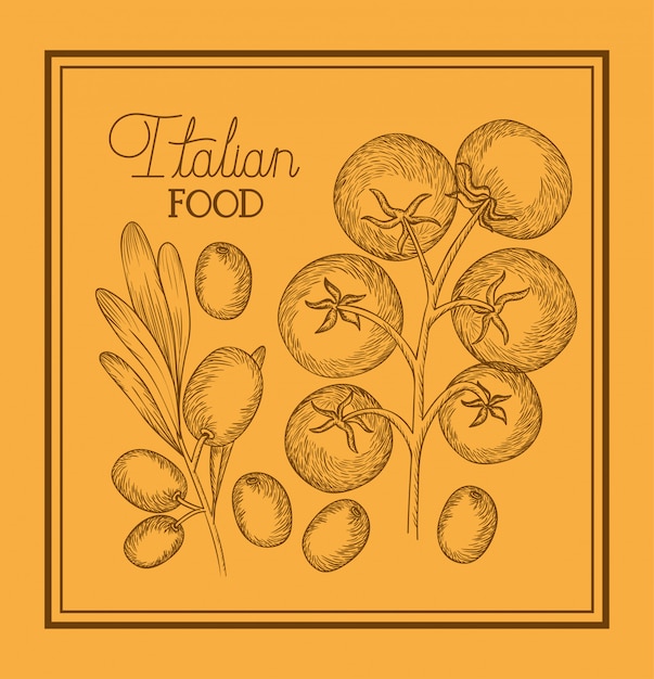 Olive and tomatoes plant drawn italian food