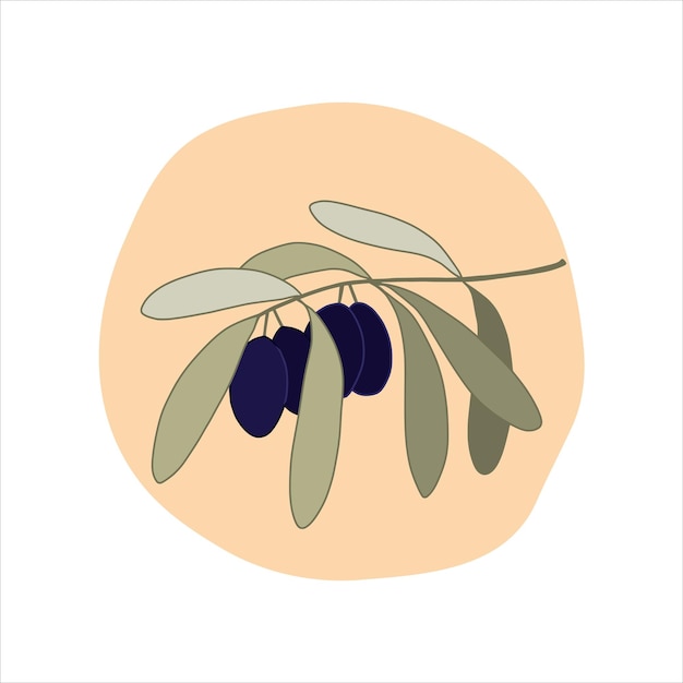 Olive tree branch in cartoon style Vector illustration