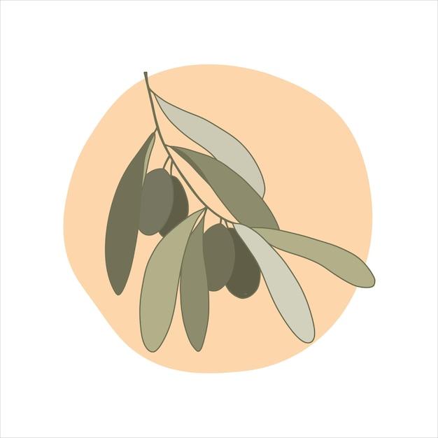 Olive tree branch in cartoon style Vector illustration